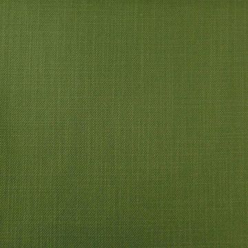 Camengo - Alchimie Plain - 32934243 Green