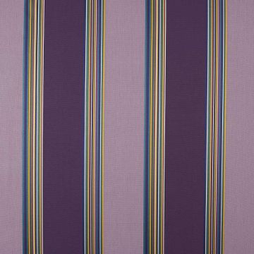 Camengo - Amazing - 32970102 Violet