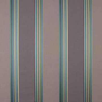 Camengo - Amazing - 32970306 Gris