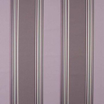 Camengo - Amazing - 32970612 Rose