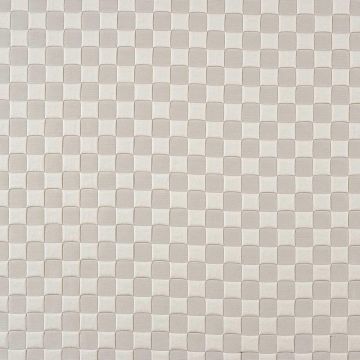 Camengo - Exciting - 32980522 Blanc