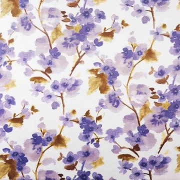 Camengo - Surprising - 32990226 Parme