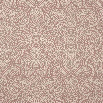 Camengo - Salagon - 33750443 Violet