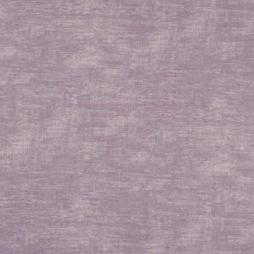 Camengo - Rustling - 34770434 Parme