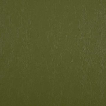 Camengo - Mixology Leather Inspired - 34893978 Anis