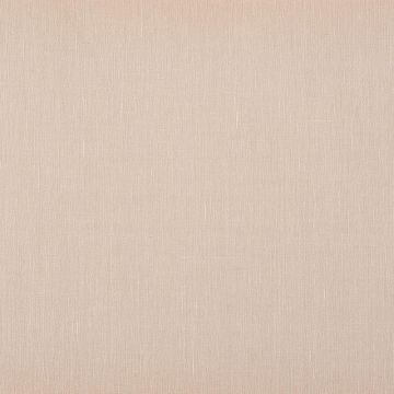 Camengo - Blooms Cotton Blend - 34922347 Fuchsia