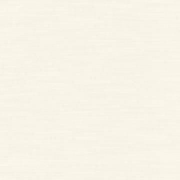 Camengo - Pause - 35090410 Neige