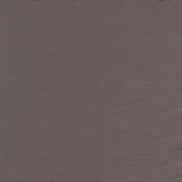 Camengo - Pause - 35091532 Violine