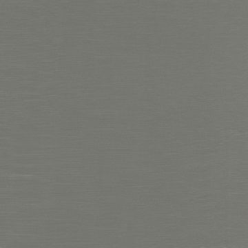 Camengo - Intervalle - 35100409 Argent