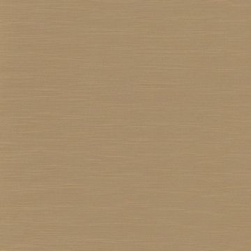 Camengo - Intervalle - 35100919 Sable