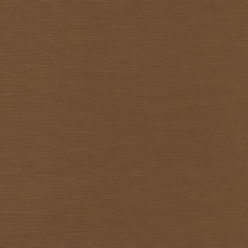 Camengo - Intervalle - 35101021 Camel