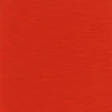 Camengo - Intervalle - 35101327 Corail