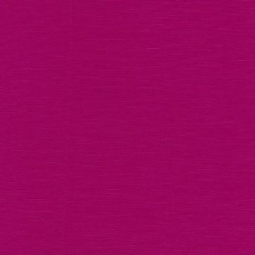 Camengo - Intervalle - 35101531 Fuchsia