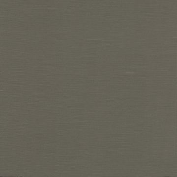 Camengo - Intervalle - 35101735 Eveque