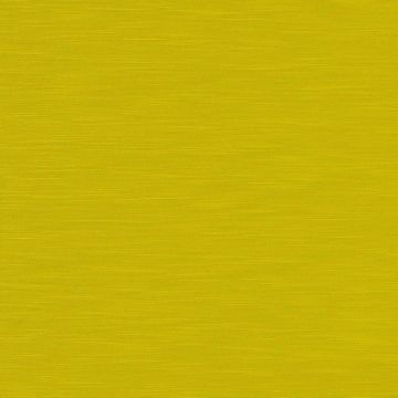 Camengo - Intervalle - 35102449 Jaune