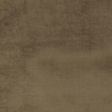 Camengo - Erato - 35530100 Chataigne