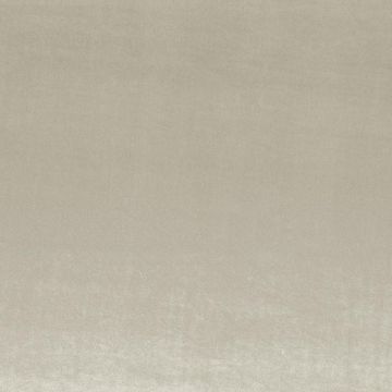 Camengo - Erato - 35530508 Nuage