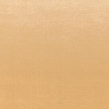 Camengo - Erato - 35531528 Cerisier