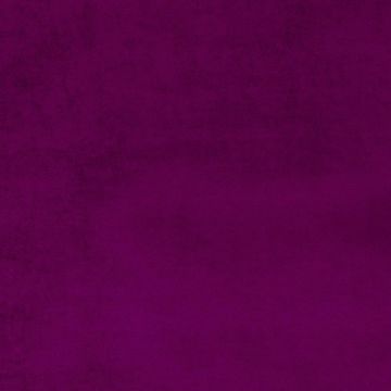 Camengo - Erato - 35532446 Nymphea