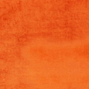 Camengo - Erato - 35532650 Capucine