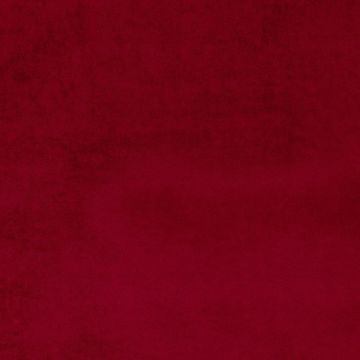 Camengo - Erato - 35532854 Bordeaux