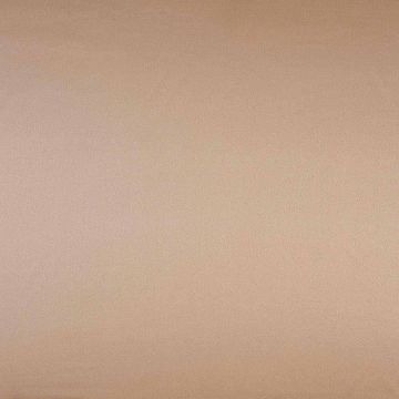 Camengo - Galerie D'Art - 6190924 Cappuccino 280