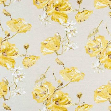 Camengo - Albaron - 7190128 Jaune