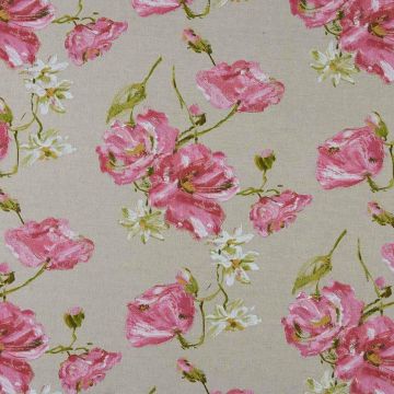 Camengo - Albaron - 7190245 Rose