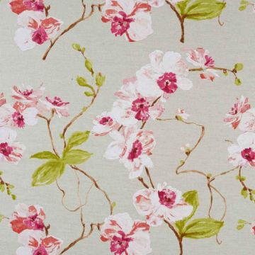 Camengo - Martigues - 7510109 Corail Fond Naturel