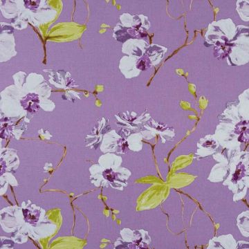 Camengo - Martigues - 7510383 Mauve Fond Mauve