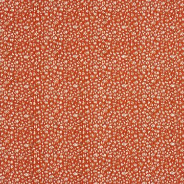 Camengo - Delice d'Oran - 8000255 Orange