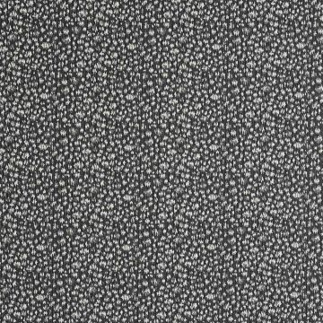 Camengo - Delice d'Oran - 8000344 Noir