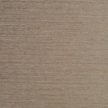 Camengo - Eclat - 8332032 Bois