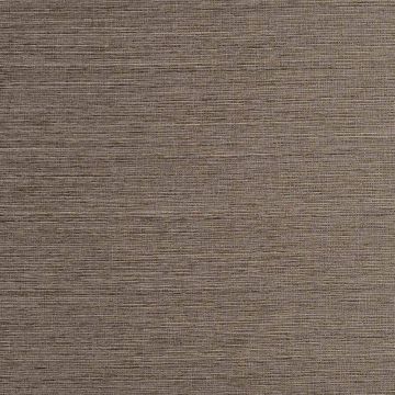 Camengo - Eclat - 8332197 Ecorce