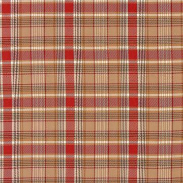 Camengo - Valais - 8870240 Rouge