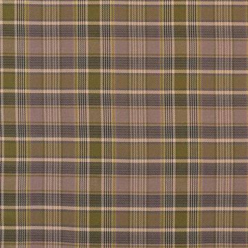 Camengo - Valais - 8870497 Violet