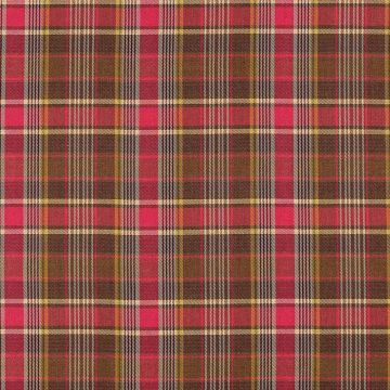 Camengo - Valais - 8870520 Rose