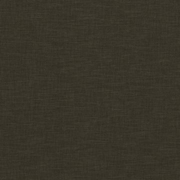 Camengo - Esprit 2 - A31470487 Earth