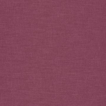 Camengo - Esprit 2 - A31473539 Orchis