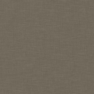 Camengo - Esprit 2 - A31474355 Bis