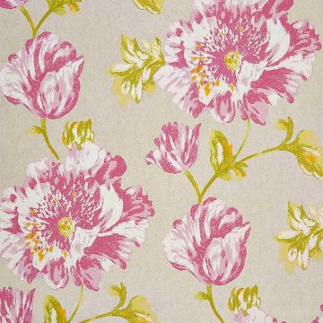 Camengo - Séguret - 72600103 Rose