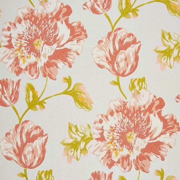 Camengo - Séguret - 72600205 Corail