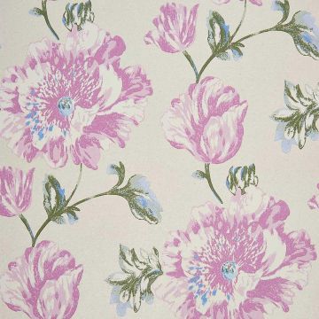 Camengo - Séguret - 72600307 Parme