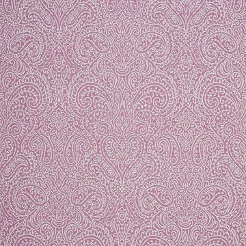 Camengo - Castellane - 72620321 Rose