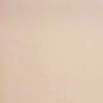 Camengo - Uni - 9163708 Beige Jaune