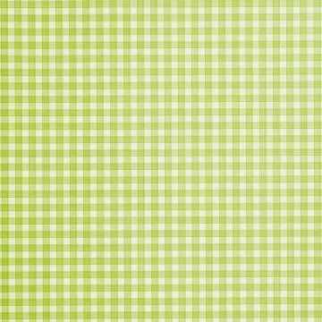 Camengo - Vichy - 9272009 Vert