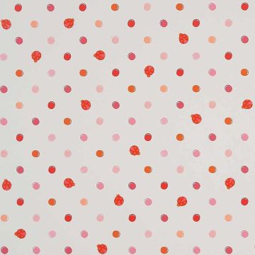 Camengo - Pop ladybird - 9920140 Rose