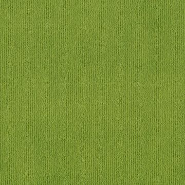 Casamance - Tribeca - 31601787 Green - Velours
