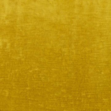 Casamance - Corolle - 35970299 Jaune