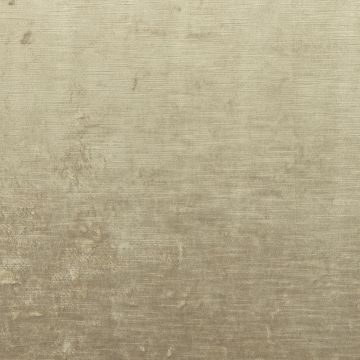 Casamance - Corolle - 35971745 Flax